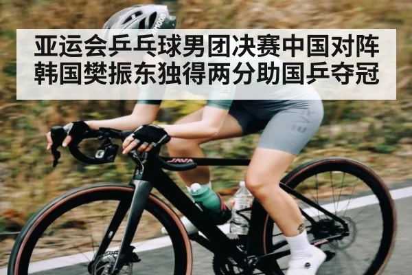 亚运会乒乓球男团决赛中国对阵韩国樊振东独得两分助国乒夺冠
